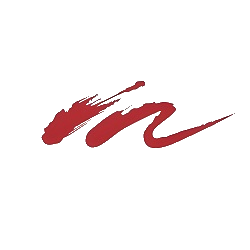 新华传媒 logo
