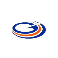 上海临港 logo