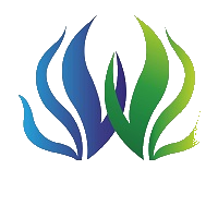 博闻科技 logo
