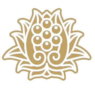 健民集团 logo