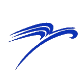 *ST华鹏 logo