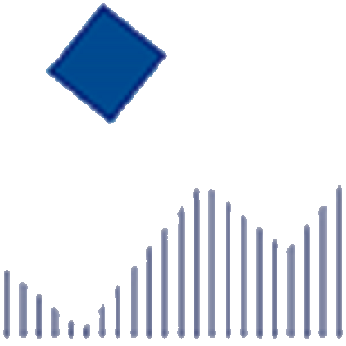 天龙股份 logo