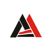 岱美股份 logo
