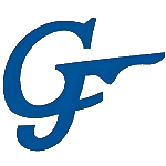 宁波高发 logo