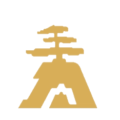 王力安防 logo
