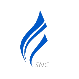 新炬网络 logo