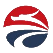 龙版传媒 logo