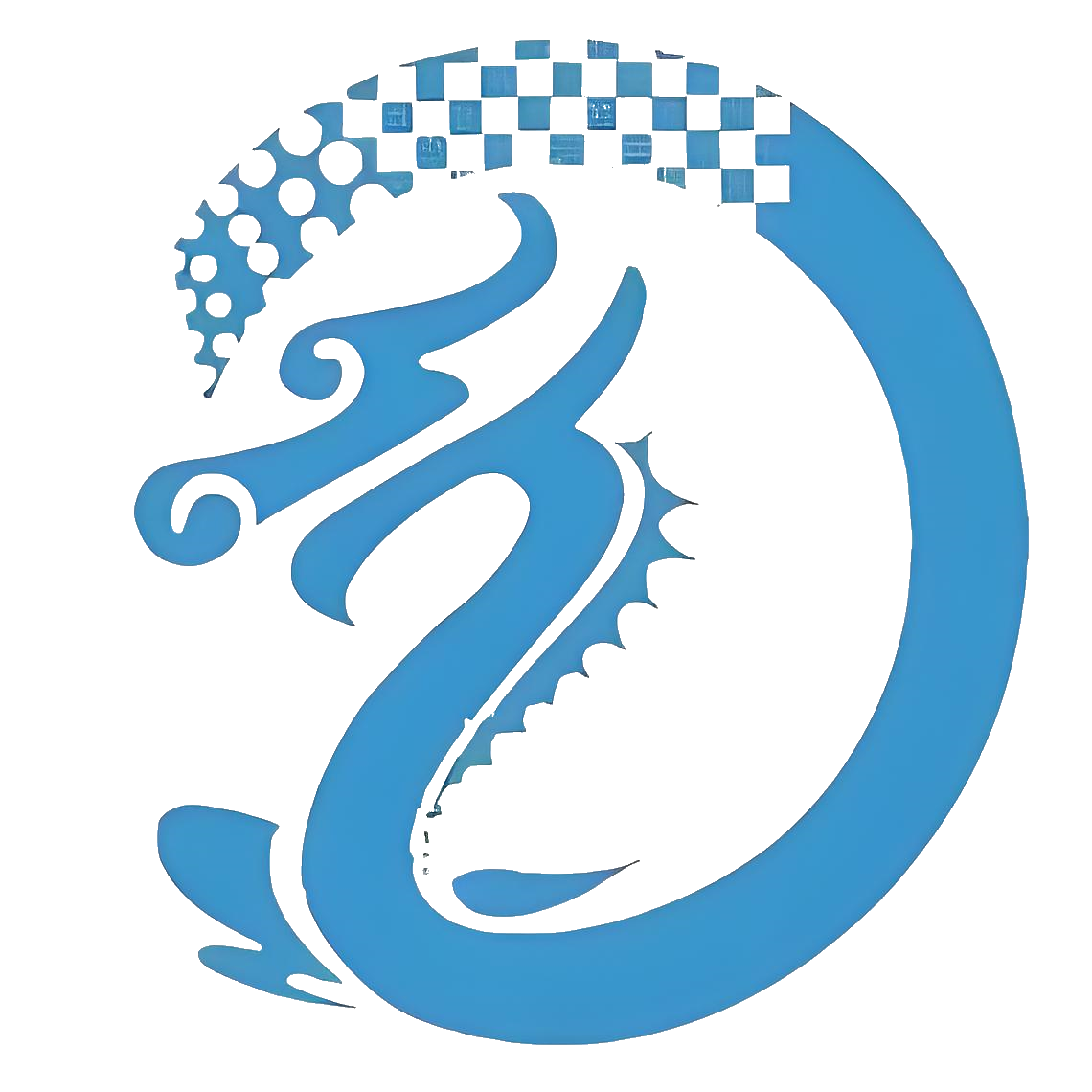 龙软科技 logo