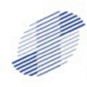 清溢光电 logo