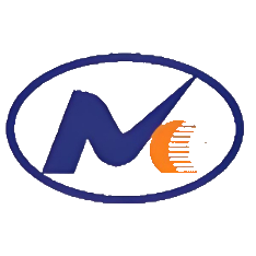 有研硅 logo