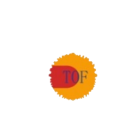*ST禾信 logo