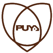 普冉股份 logo
